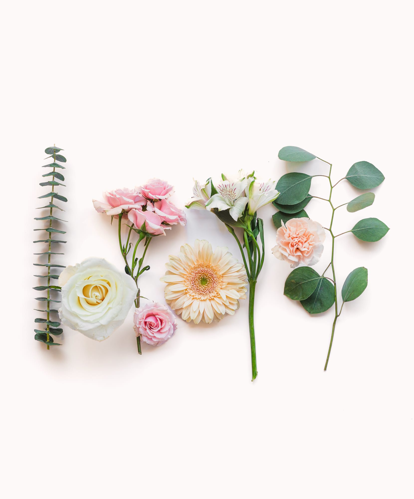 A beautiful arrangement of pastel flowers and greenery, perfect for any floral design project.