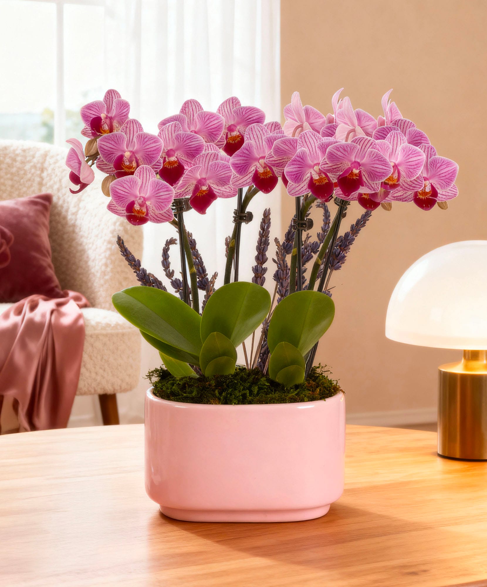Pink orchid arrangement with lavender and lush green leaves in a stylish planter.